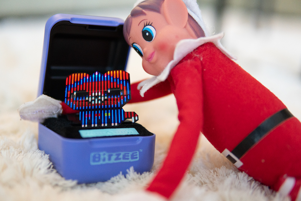 Rampenissen sammen med Bitzee, han har blitt oppslukt av sitt nye kjæledyr