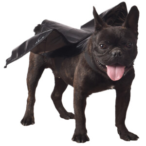 DOG COSTUME - BAT.