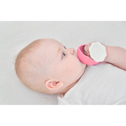 Mombella Mushroom - Rosa