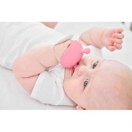 Mombella Mushroom - Rosa