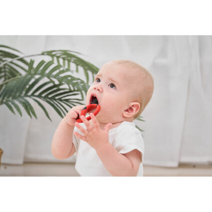 Mombella Ladybug U‑formet Tannbørste & Biteleke