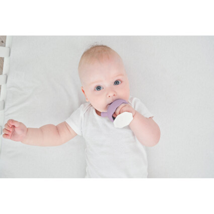 MOMBELLA MUSHROOM - LAVENDEL