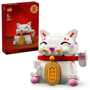LEGO 40813 LYKKEKATT.