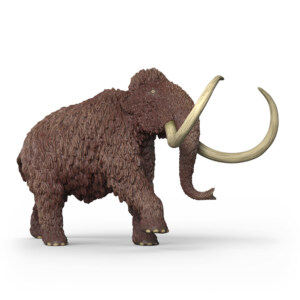 SCHLEICH MAMMOTH