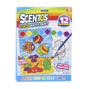 SCENTOS WATER PAINT PICTURES ASST